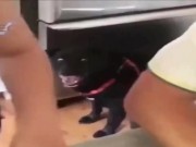 dayz juegazon con sus bug y todo 9/16