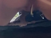 Cum-Dripping Pussy Peeing on a Log in the Forest 13/16