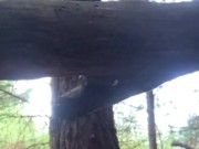 Cum-Dripping Pussy Peeing on a Log in the Forest 2/16