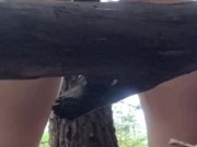Cum-Dripping Pussy Peeing on a Log in the Forest