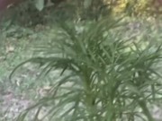 Golden Shower for My Garden -  Naughty Girl Pissing Outdoors 15/16