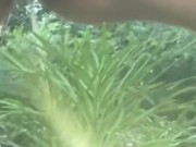 Golden Shower for My Garden -  Naughty Girl Pissing Outdoors 8/16