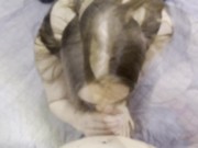 Влажный минет от спортивной студентки 2/16