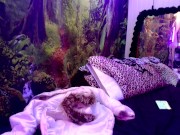 pre-game smoke before live free clapper show 13/16