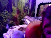 pre-game smoke before live free clapper show 9/16