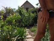 In the sun in the garden 7/16