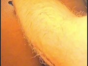 Ebony Babe in Tennis Skirt takes BWC 3/16