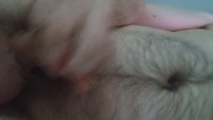 Morning Cock