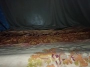 Today my landline said show me this dance a little 1/16