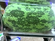 goddess mxdominion 1/16