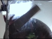 goddess mxdominion 10/16