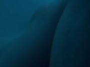 BRITISH PAWG GETS DRILLED - amateur british blond gets fucked - official Nathaniel 9/16