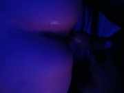 me gusta de perrito 13/16