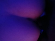 me gusta de perrito 2/16