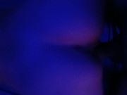 me gusta de perrito 4/16