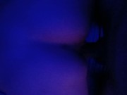 me gusta de perrito 5/16