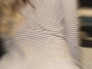 Daisey kurrupt photo shoot 15/16