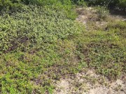 Outdoor sex, deep blowjob and super hot fucking. 1/16