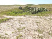 Outdoor sex, deep blowjob and super hot fucking. 2/16