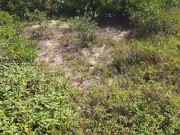 Outdoor sex, deep blowjob and super hot fucking. 3/16