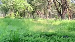 TWINK CRUISING IN THE PARK - PENDEJO GOONER ARGENTINO FIT SE SACA LA PIJA EN PUBLICO - SHORT VIDEO