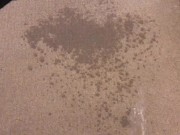 Pissing on my Bedroom Carpet in the Middle of the Night 3/16