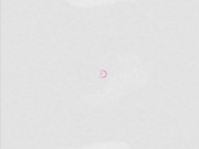 Khloe Kapri Would Rather Suck Dick than Work from Home 2/16