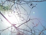 Ebony Babe Stranded On An Island 8/16