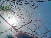 Ebony Babe Stranded On An Island 9/16