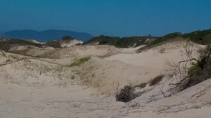 Chilling and showing my thick cock at the beach