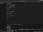 #40 Constructors and Destructors(continue) 16/16