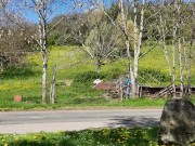 i am so very busy 13/16