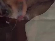 MY TRIPPY SEXY VIBE-ARABIAN SNOWWHITE-مدونة مراهقة صغيرة الحجم ذات جسد مثالي 3/16