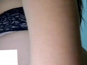 Perra castigada 5/16