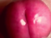 CLOSE UP CAMERA IN PUSSY: CUM Inside PUSSY TWICE! BEST CREAMPIE in 4K with Girl Moaning! 5/16