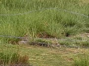 Desi bhabhi ne apane yaar ko lekar outdoor sex kiya 1/16