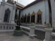 I found a Monitor Lizard in Bangkok! Thailand 12/16