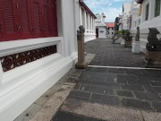 I found a Monitor Lizard in Bangkok! Thailand 13/16