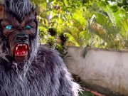 Little Red Riding Hood lost a fruit from her basket and is looking for it in the wolf's pants. 4/16