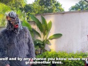 Little Red Riding Hood lost a fruit from her basket and is looking for it in the wolf's pants. 5/16