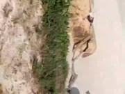 Mamada en la playa publica, espectadores follan mientras nos miramos 7/16