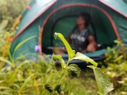 Coco Martin kantutan sa ilog viral video 10/16
