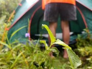 Coco Martin kantutan sa ilog viral video 11/16