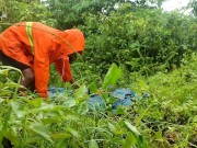 Coco Martin kantutan sa ilog viral video 4/16