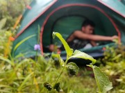 Coco Martin kantutan sa ilog viral video 9/16