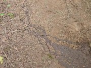 It's NERDY FAERY TIME! 11/16