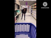Mostrando las tetas en el supermercado 5/16