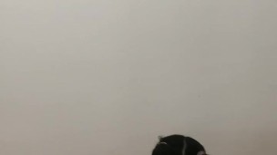 Kai Kemi exibindo cada detalhe sensual online.