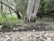 A Wee in the Woods. 1/16