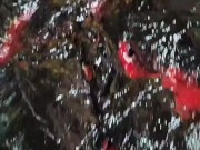 Mixed Media Arts from trash (Lava Art) 11/16